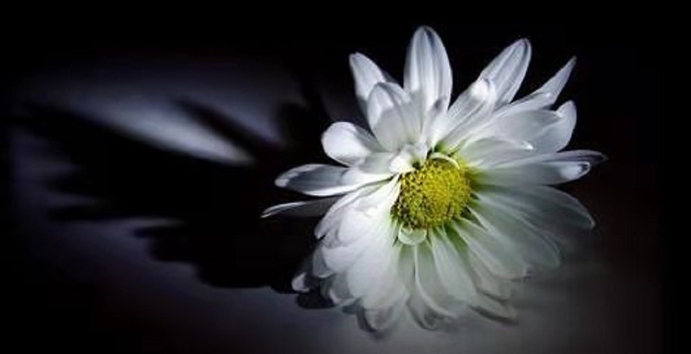 女儿意外去世,父母索要41万给儿子买房,网友谴责,亲情呢?