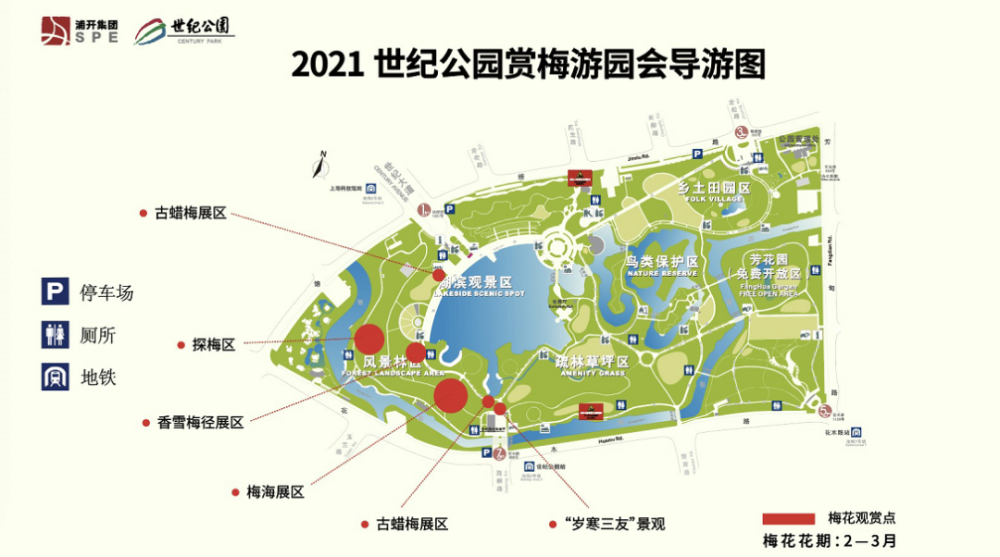 年度限定!世纪公园赏梅游园会来了,"双梅争艳"正当时