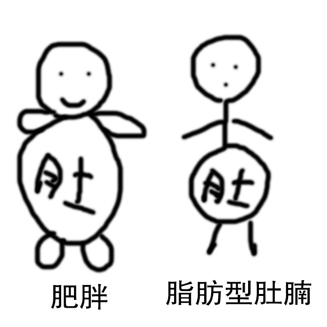 瘦成火柴人肚子不见瘦内脏脂肪多典型的瘦胖子