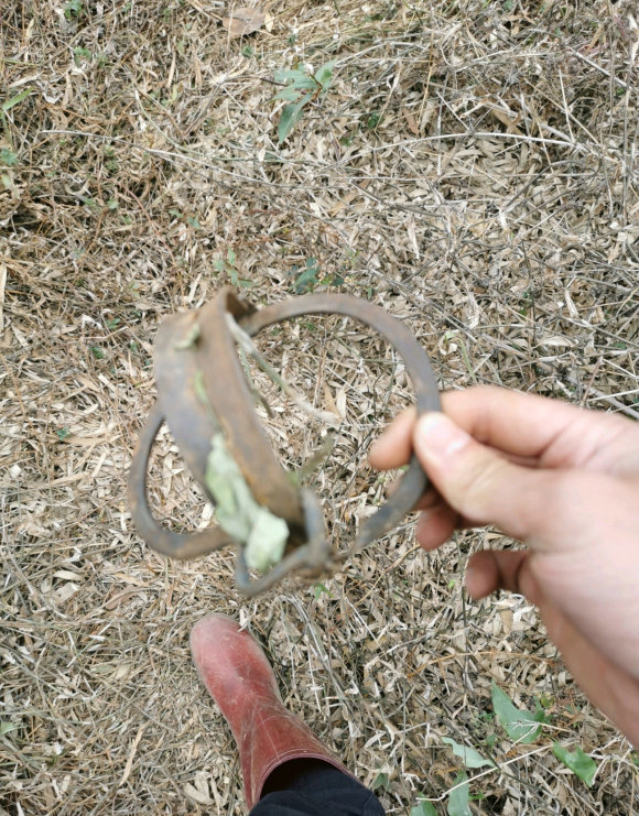 广西男子深山钓鱼却差点成"猎物,误踩兽夹,一公分雨靴被刺穿