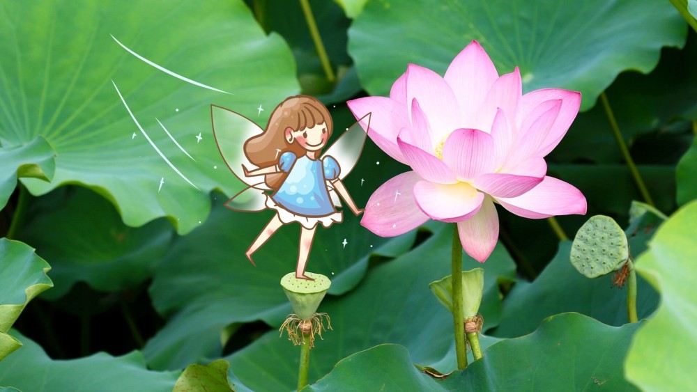 精美可爱的卡通壁纸分享 Macbook 腾讯新闻