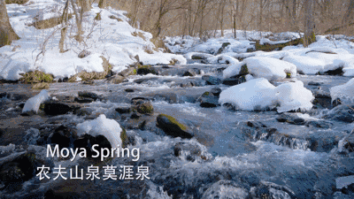 养生堂有限公司|钟晱晱|中国首富|巴菲特|农夫山泉