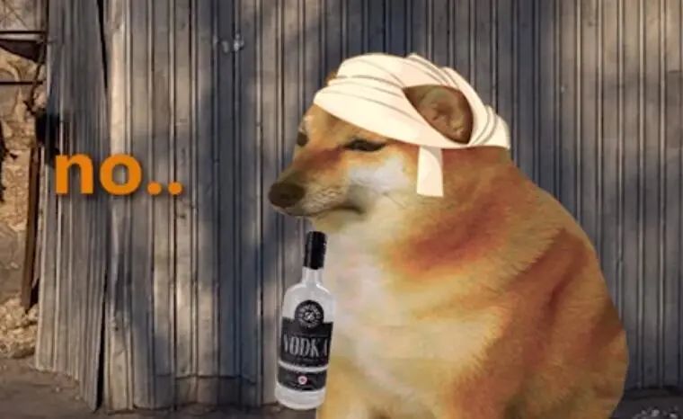 那只表情包里的柴犬现在是世界肥宅的正义