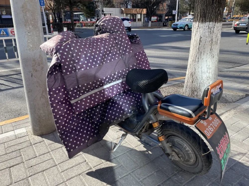 二百多万橙牌电动车禁止上路!