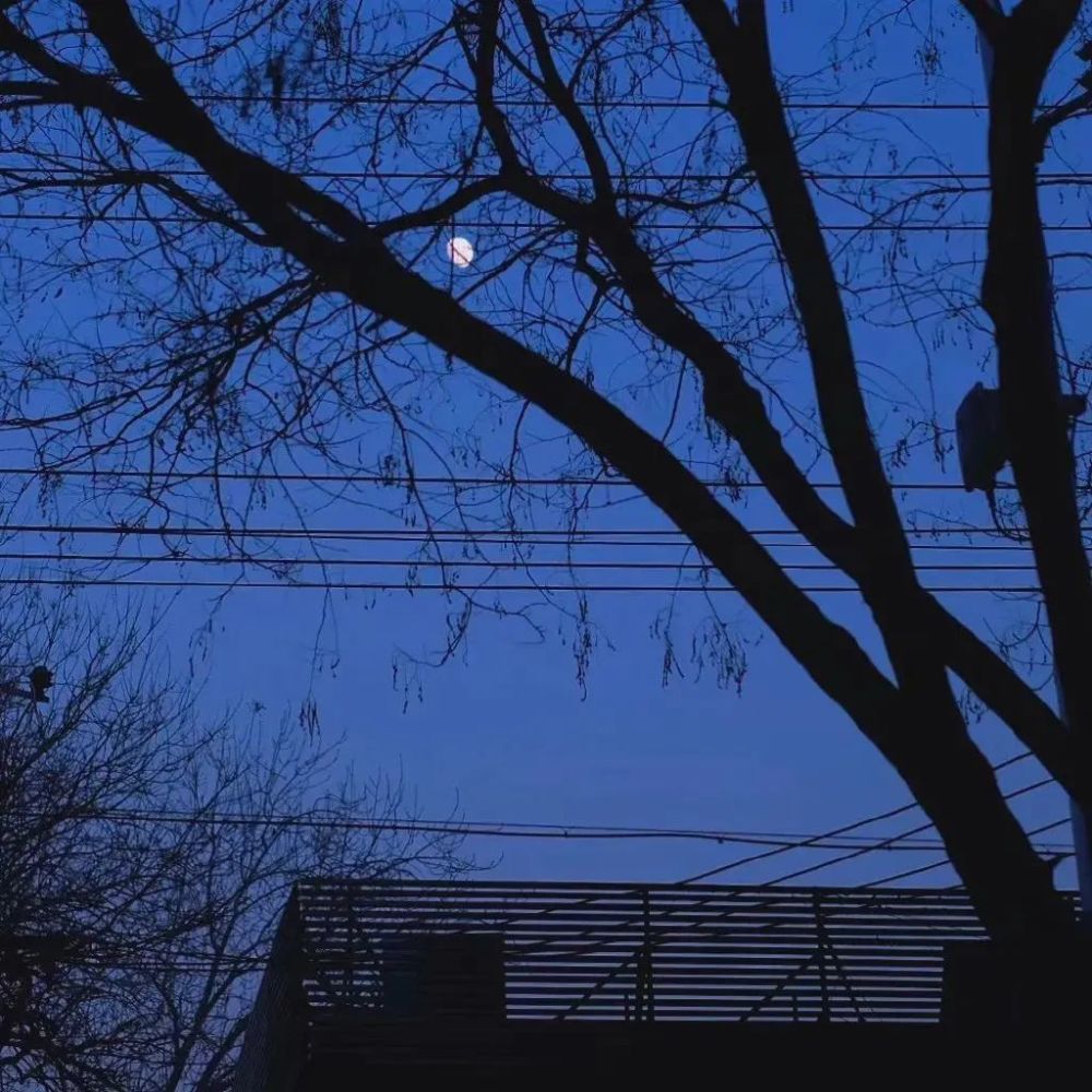 weixin朋友圈背景图