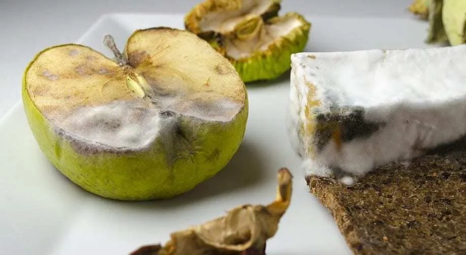 急性肠胃炎|10粒病毒即可致病，至今无疫苗和特效药，幸好它只造成肠胃炎