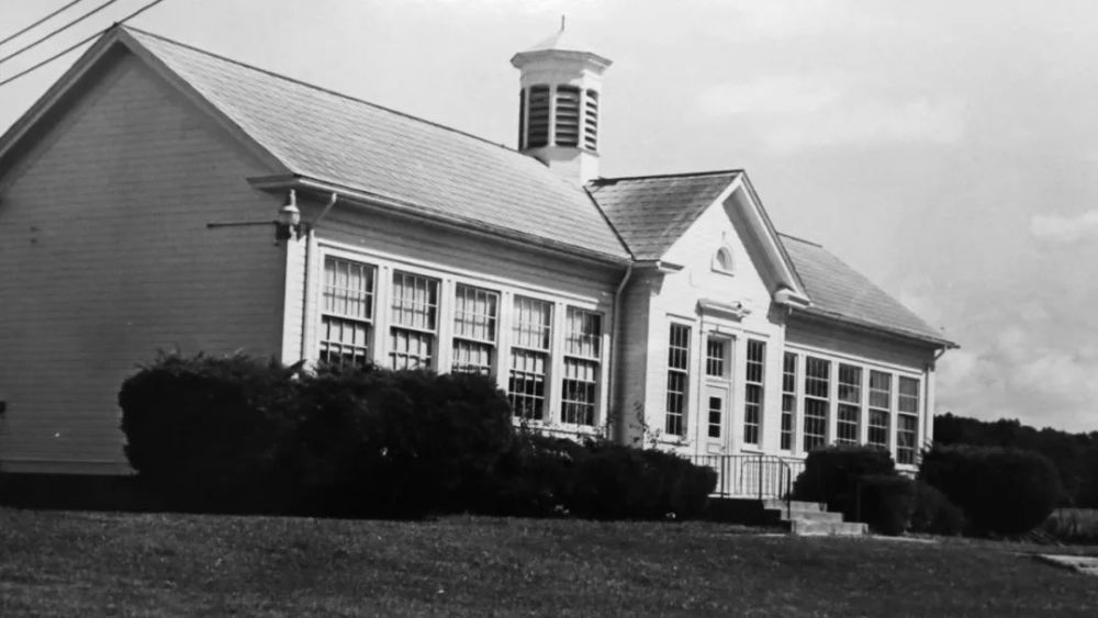 急性肠胃炎|10粒病毒即可致病，至今无疫苗和特效药，幸好它只造成肠胃炎