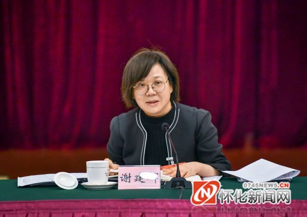 刘莲玉彭国甫雷绍业石希欣参加审议把怀化建设