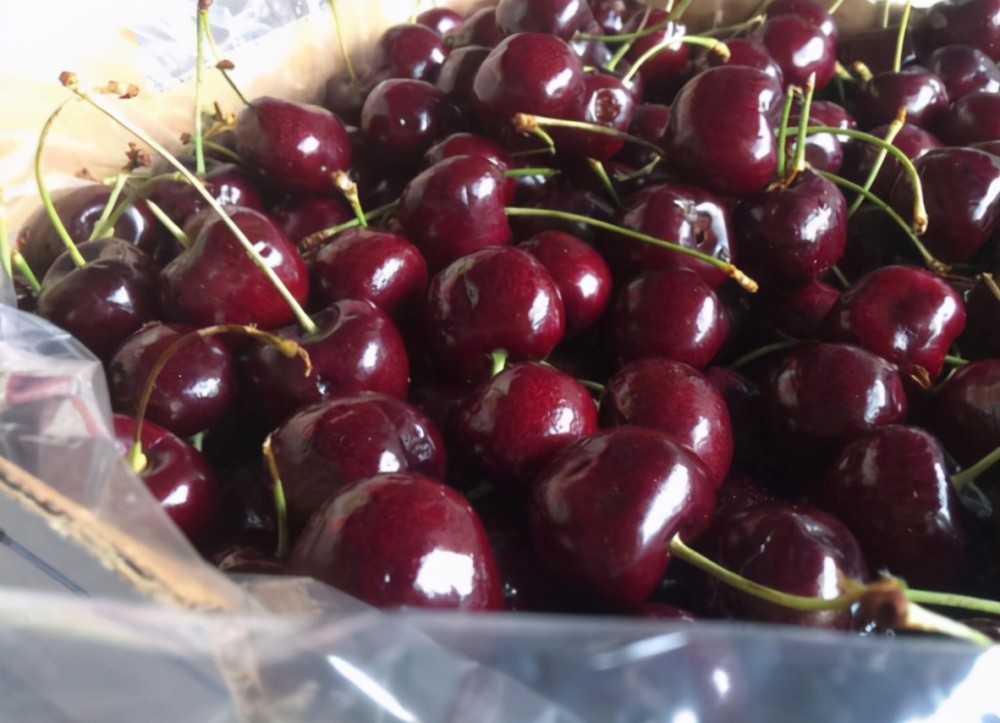 车厘子低至8块一斤,有人拿来喂鸡,车厘子真的如此廉价了?