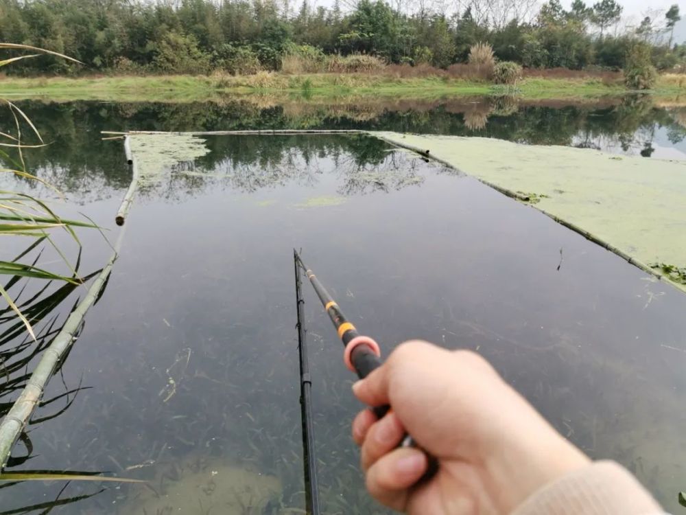但是有一种情况下可以钓浮试试,那就是水底长满水