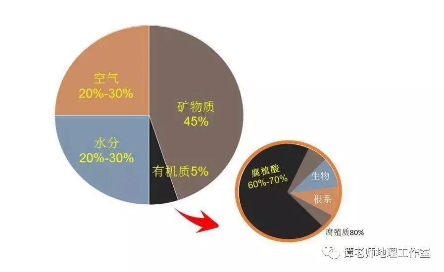 地理探究 土里有什么 土壤为什么会肥沃 中学地理肥沃的土壤有哪些 腾讯新闻