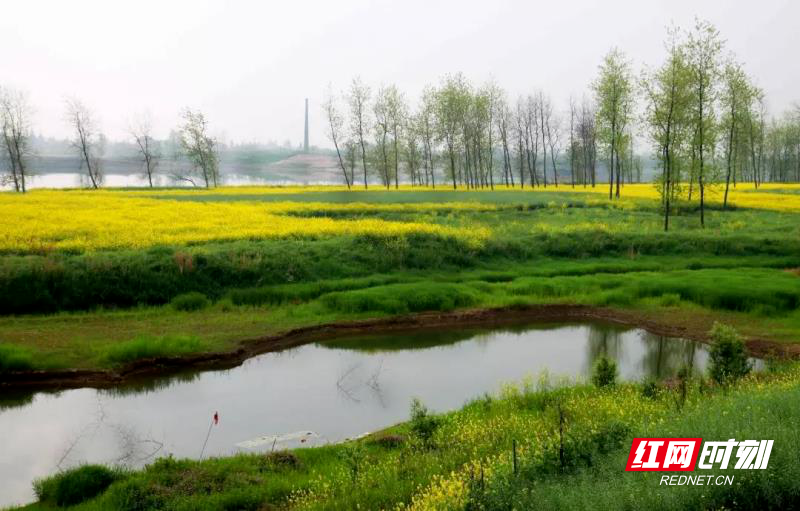 益阳沙头镇文明之花绽开在美丽湖镇