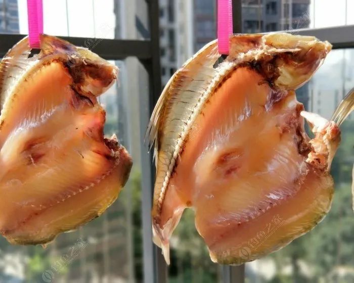 在家制作最风味的鲮鱼干,这才是家乡的味道