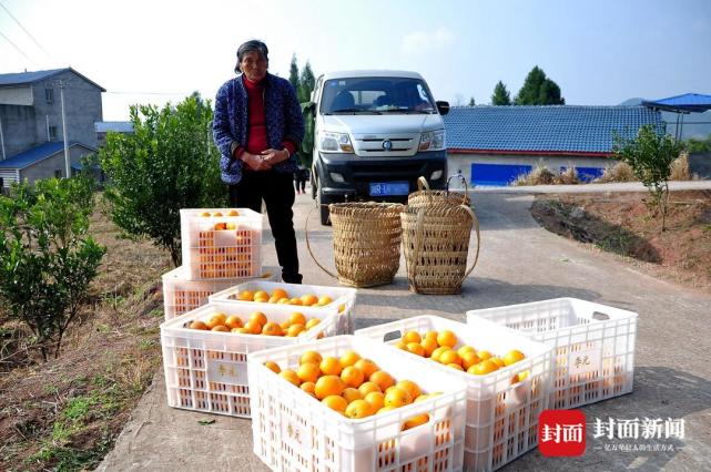 四川省人大代表何建:規劃不能朝令夕改 產業發展要因地制宜|代表在