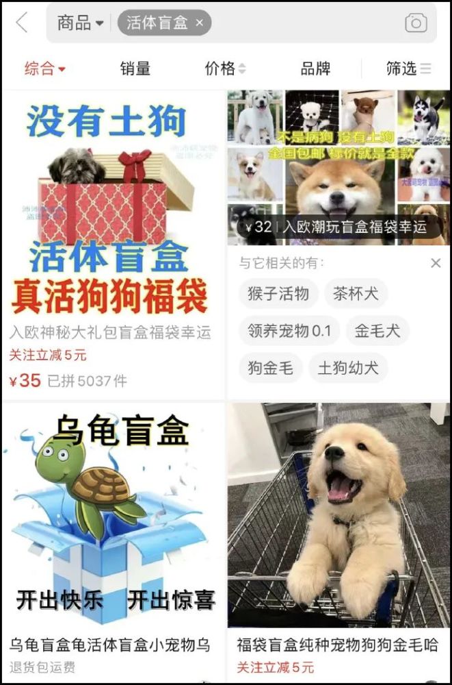 网购平台惊现宠物"活体盲盒",为了赚钱人性都没了!