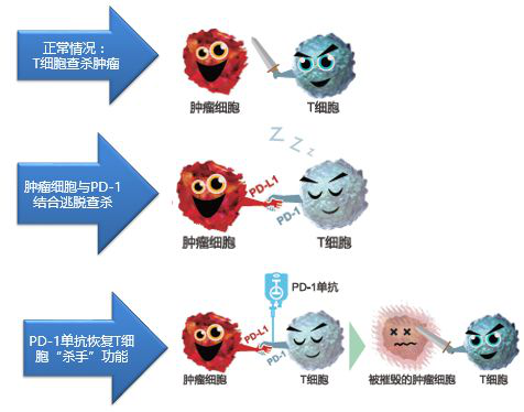 免疫治疗到底是什么?过来了解一下_腾讯新闻