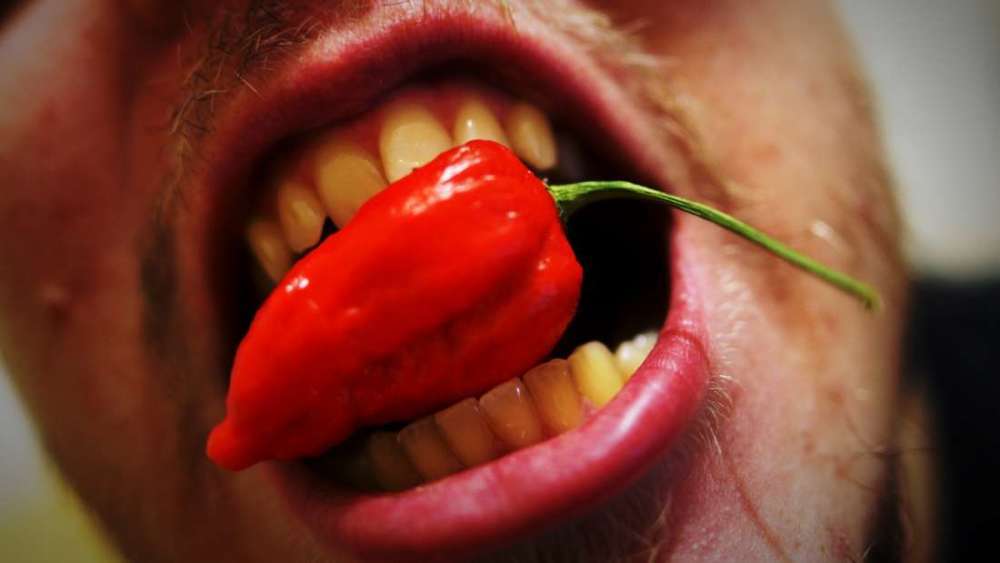 魔鬼辣椒,男子食用卡罗莱纳州死神辣椒打破世界纪录