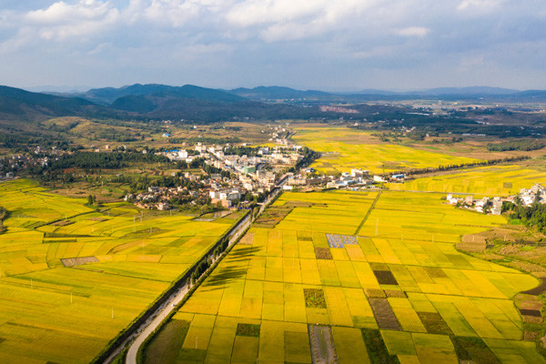 云南沾益:平畴沃野满目新