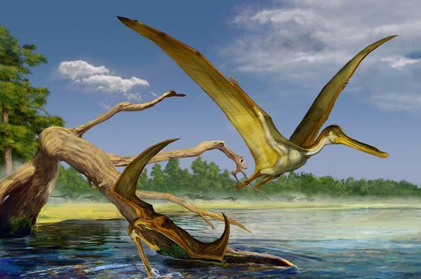 1864年美国人抓到一只翼龙翼宽16米还留有合影是否可信