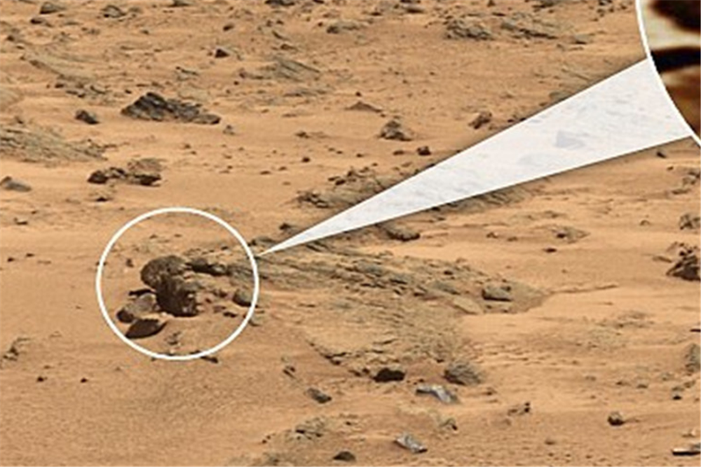 火星探测器拍到"蜥蜴",火星也有生命存在?为何迟迟未发现?