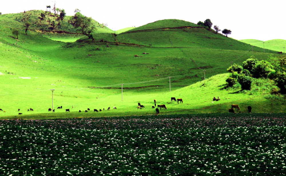 乡村旅游看临沧丨耿马自治县勐永镇—— 大地基自然村