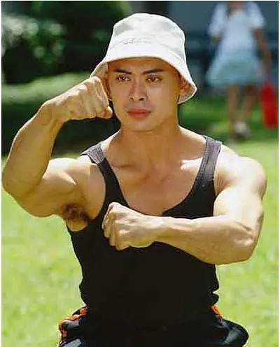 从力王到虚竹打了30年的樊少皇是你我回不去的青春