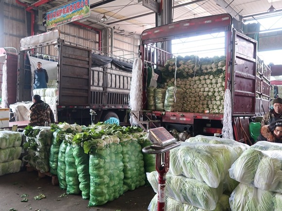 3万吨 双福国际农贸城切实保障全市农产品供应