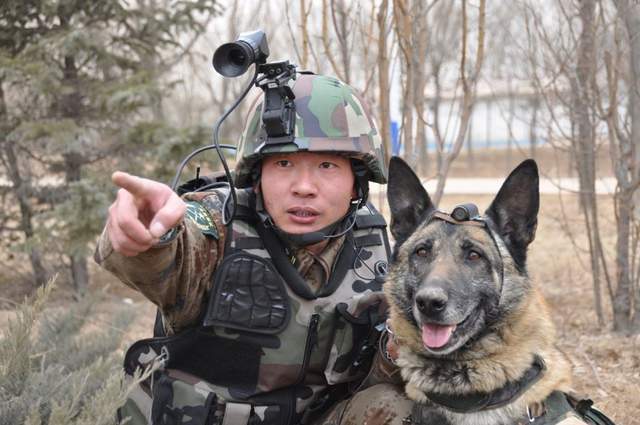 解放軍信息化裝備普及到軍犬印軍看後感嘆我們連軍犬都比不過