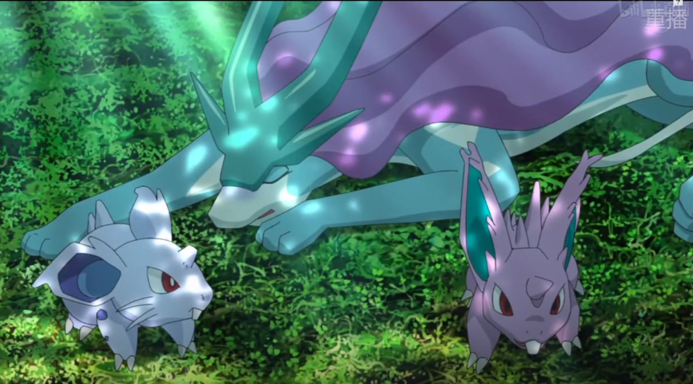 宝可梦旅途53收服完又跑路水君上演年度迷惑行为大赏