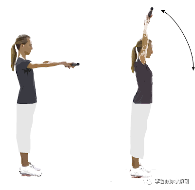 动作(二):站立肩部屈曲练习顺时针20圈,逆时针20圈第5步:不要用肩膀来