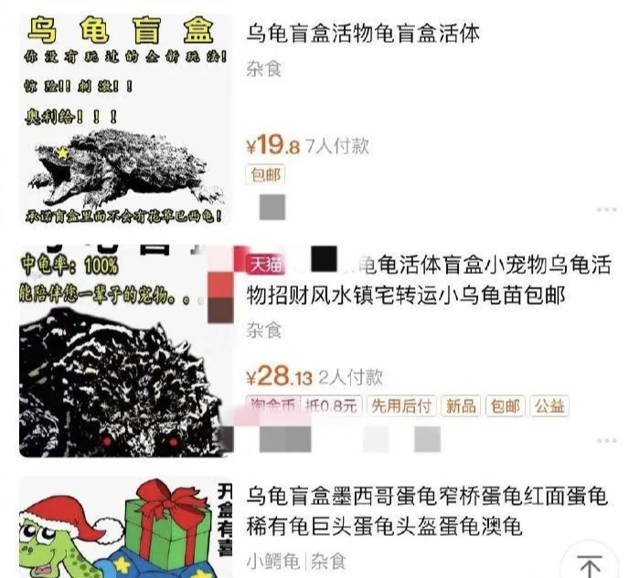 宠物"活体"盲盒,是惊喜还是惊吓?_腾讯新闻