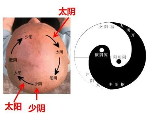 右六味,以水2400毫升,煮取800毫升,每溫服200毫升,日三夜一服.