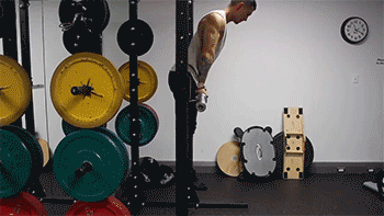 胸肌|卧推|哑铃|杠铃