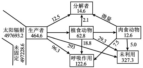 图是赛达伯格湖的能量流动图解(图中数字为能量数值,单位是j·cm-2·a