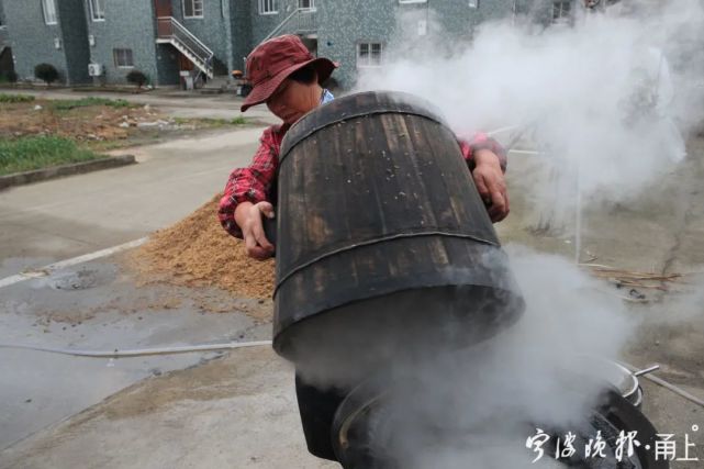 酒醅蒸過一遍就倒掉,再蒸一遍酒的味道就會差很多,所以一般就留作農田