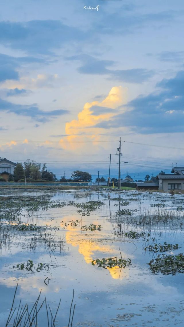 就指著天空說沒太陽