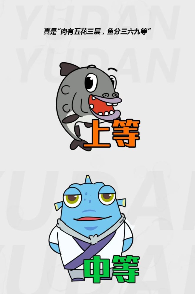 论到底多大的锅能炖得下一条胖头鱼.