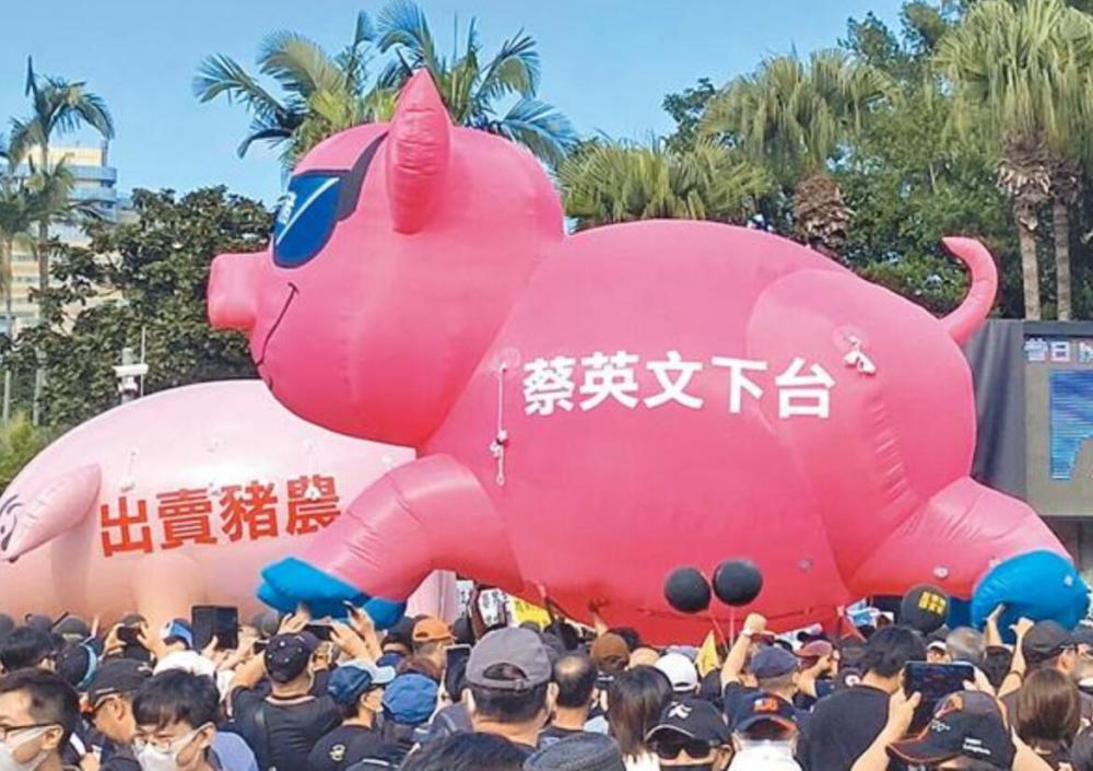 把台湾莱猪卖给大陆朱凤莲火了爆怼恶毒网友燃爆全场