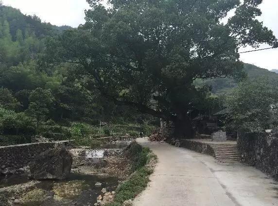 直到罗垟村发生了两起大火,所谓的真相才浮出水面.
