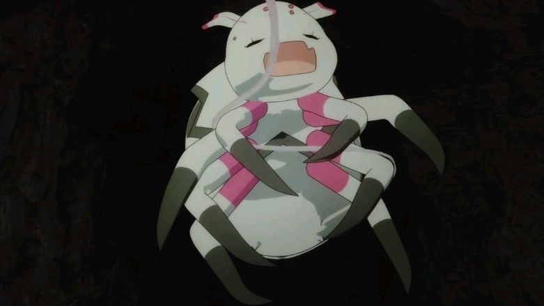 转生蜘蛛评分上涨果然大家还是愿意看蜘蛛捕猎