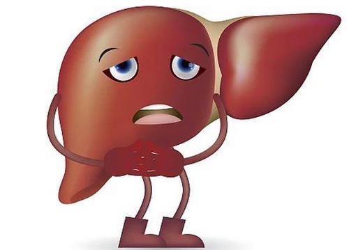 肝不好的人身体有4个征兆若占一个或是提示你要养肝了