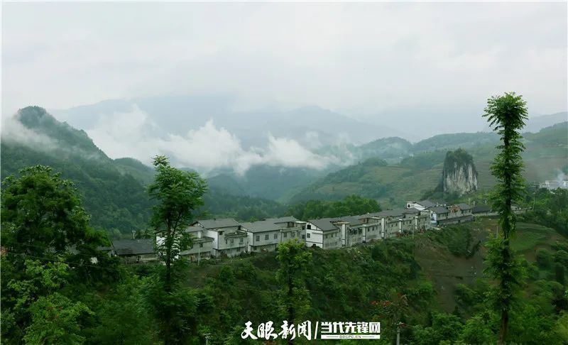 道真自治县忠信镇山岩村 王鸿/摄