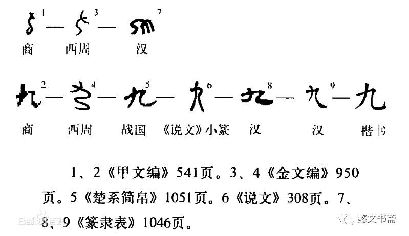 認識甲骨文中的數字