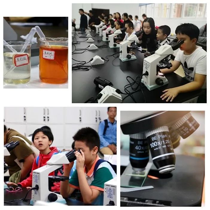图7(左) 小朋友们在星雨湖进行鱼类采集活动     (右)小朋友们使用