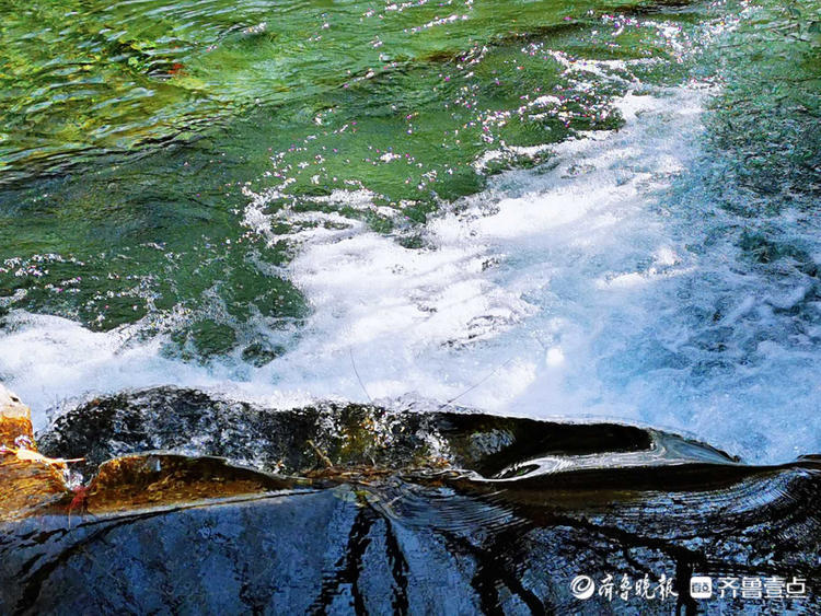 情报站美爆了冬日泉水叮咚被趵突泉的美景圈粉了