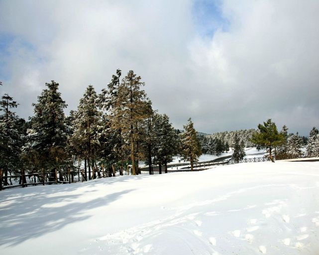 【插播實時圖片】重慶武隆區仙女山雪景——北國風光