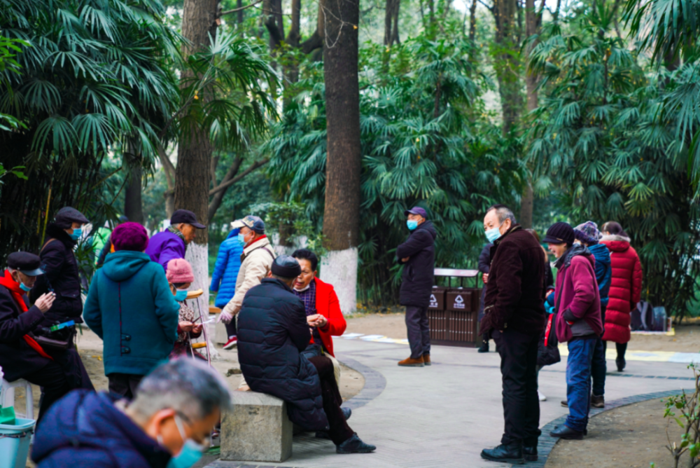 花肆之喜:人民公園,新年的花與百年的茶不期而遇