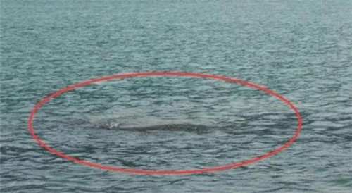 央视在喀纳斯湖拍到不明生物,重达32吨长15米,水怪真的存在吗?