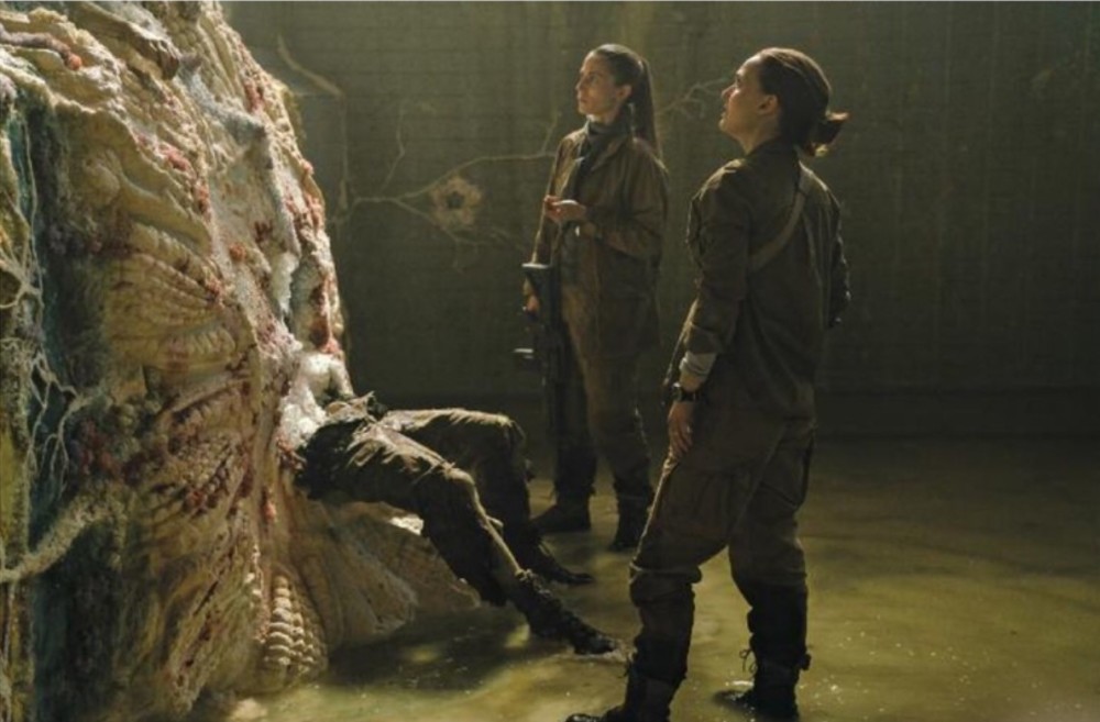 科洛弗档案结局「科洛弗档案好看不」