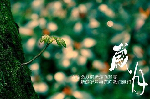 岁月蹉跎,光阴荏苒,流年匆忙,岁月如梭,总想寻一处幽香,入墨;总想撷几